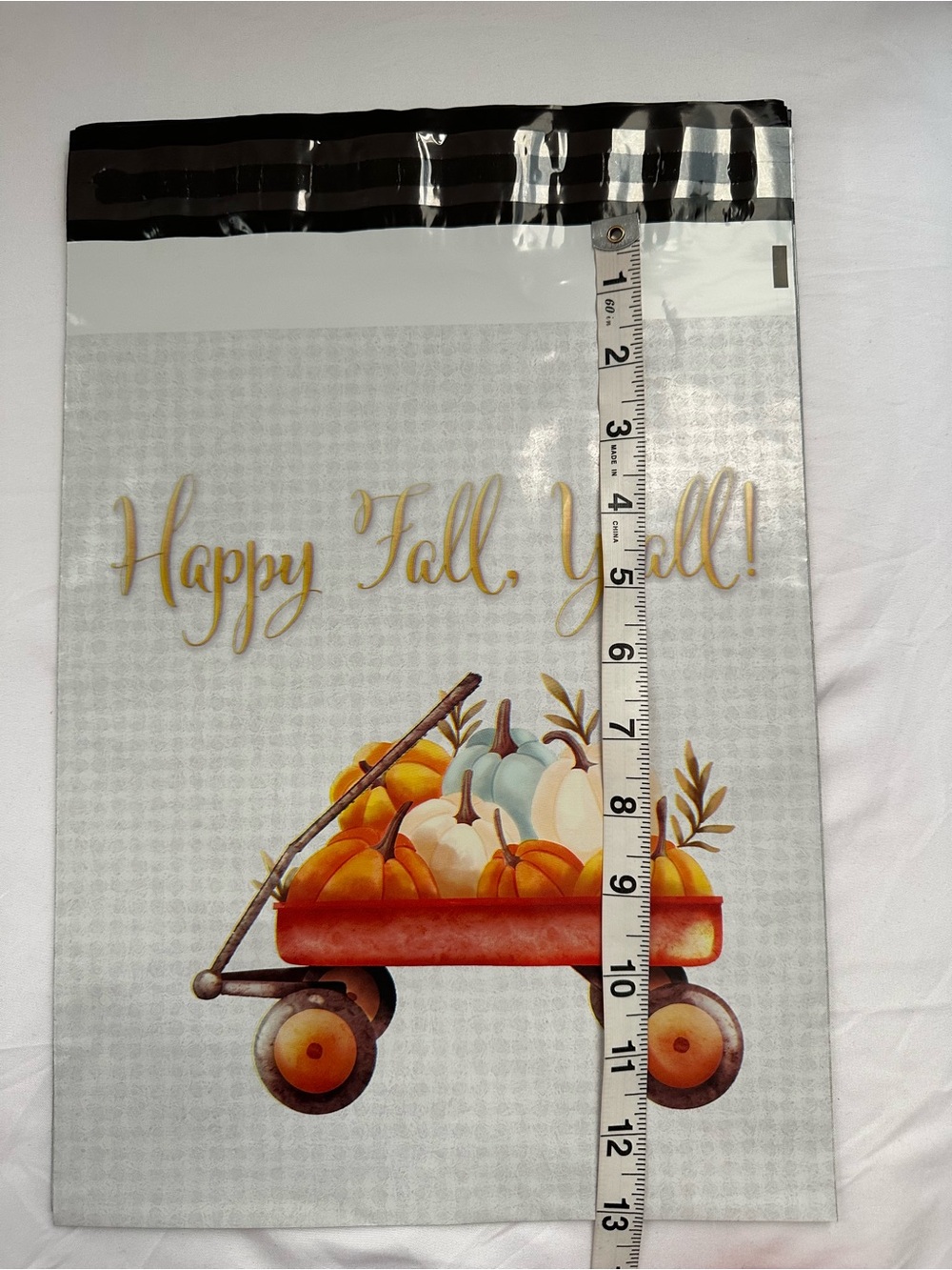 Fall Autumn Poly Mailer Variety Pack 10x13 Pumpkin Spice Happy Fall Hedgehogs - Picture 5 of 14